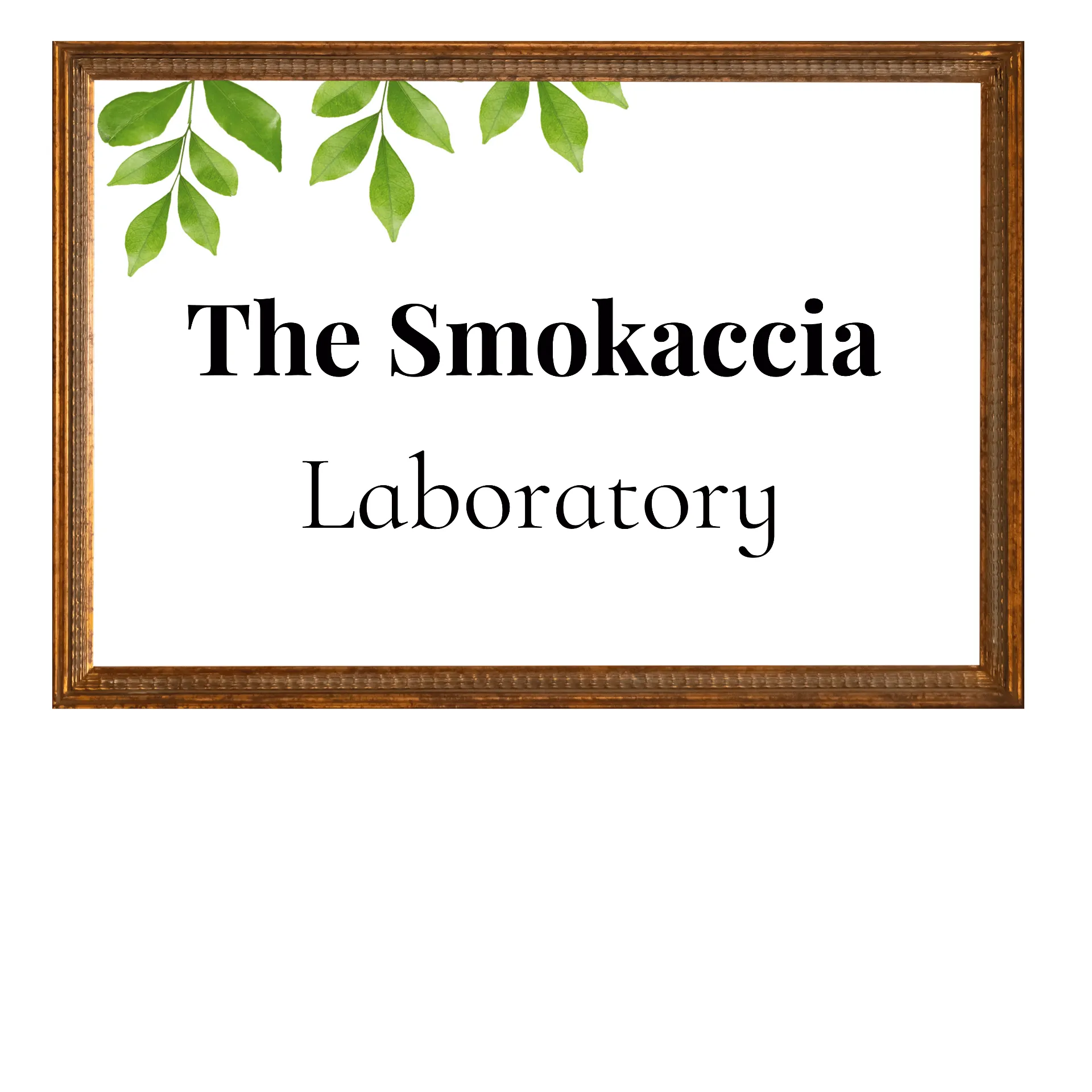 The Smokaccia Laboratory logo