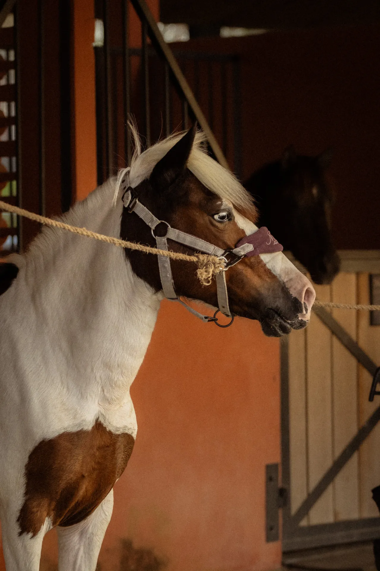 Niran Equestrian Center